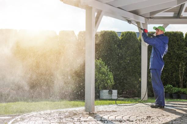 Best Gutter Cleaning  in Woodridge, IL