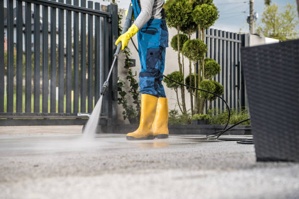Trusted Woodridge, IL Pressure Washing Services Experts