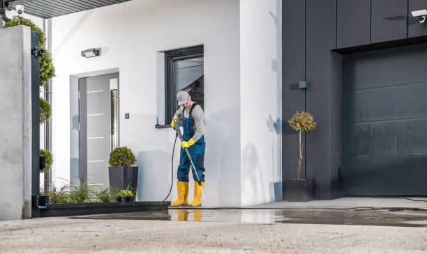 Best Rust Removal  in Woodridge, IL